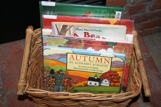 A Basket of Books!