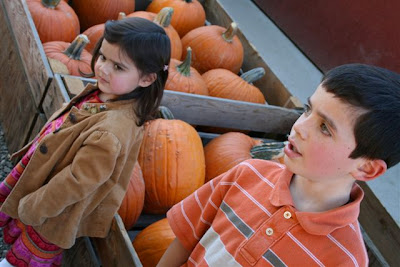 Pictures from the Pumpkin Patch