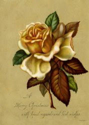 The Flower by St. Therese