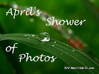 April’s Shower of Photos ~ 2009
