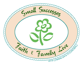 Small Successes:  May 28, 2009