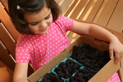 Pacific Northwest Blackberries …