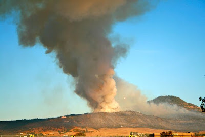 Forest Fire Field Trip