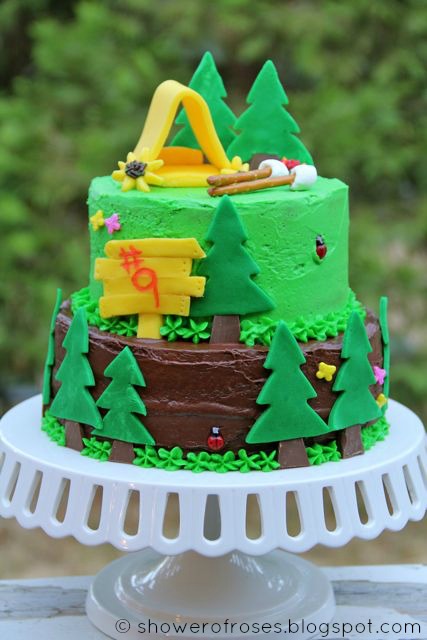 A Camping Themed Birthday Cake