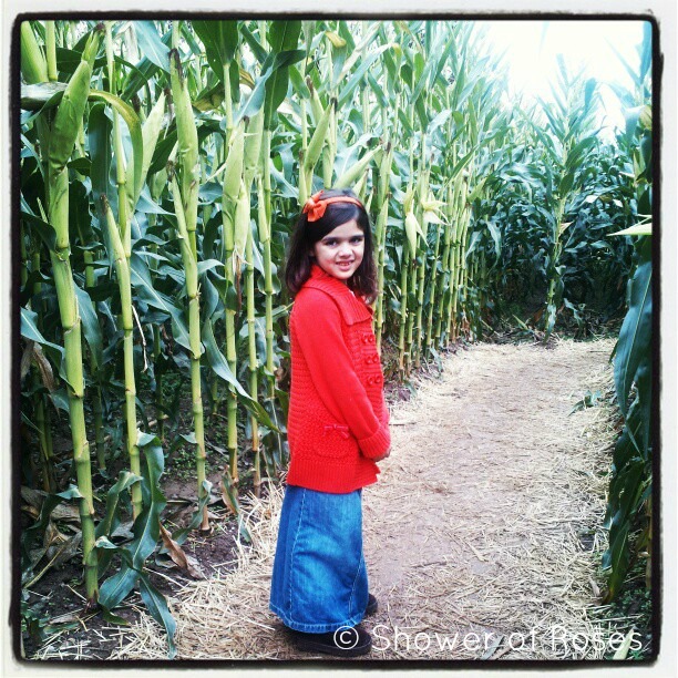 {pretty, happy, funny, real}  Lost in the Corn Maze