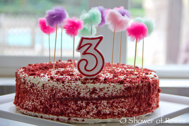 7 Quick Takes :: A Birthday Party and Pony Rides!