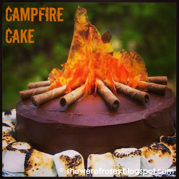 A Lone Ranger Campfire Cake