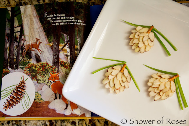 State-by-State Baking :: Maine’s White Pine Cone and Tassel Snack