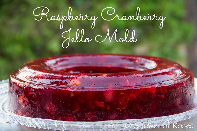 Our Festive Raspberry Cranberry Jello Mold