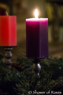 My Daybook :: The First Week of Advent
