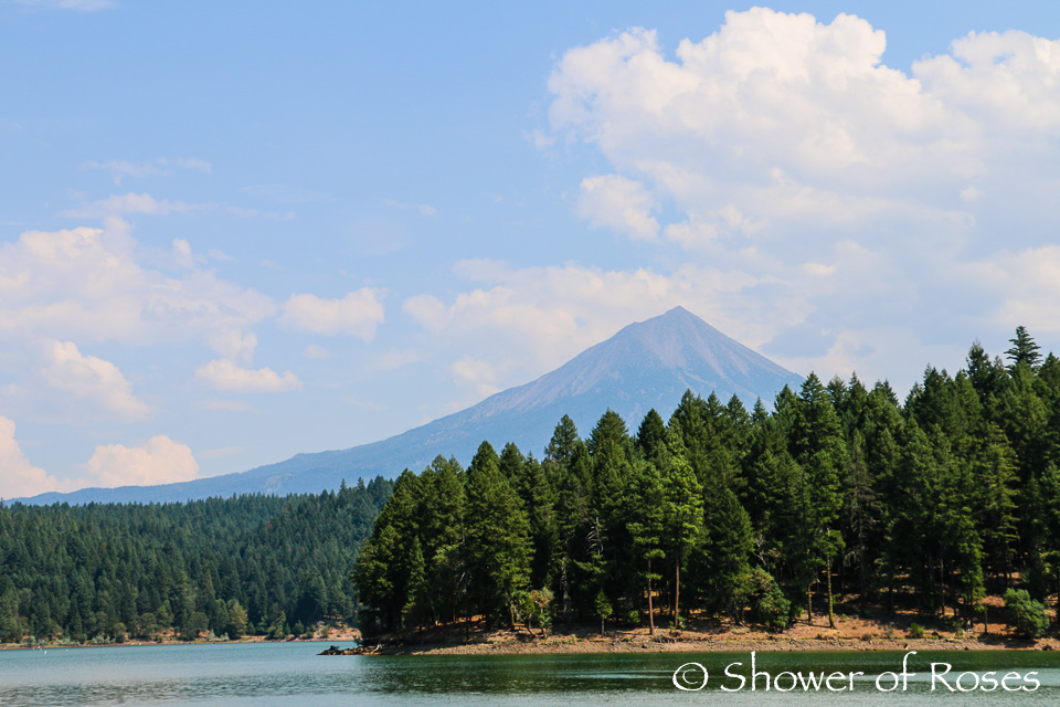 Summer Daybook :: Camping at Willow Lake