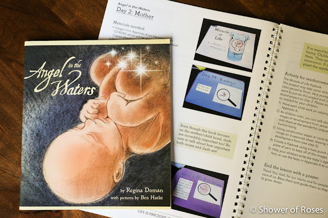 Life Is Precious :: Miracle of Life Picture Books