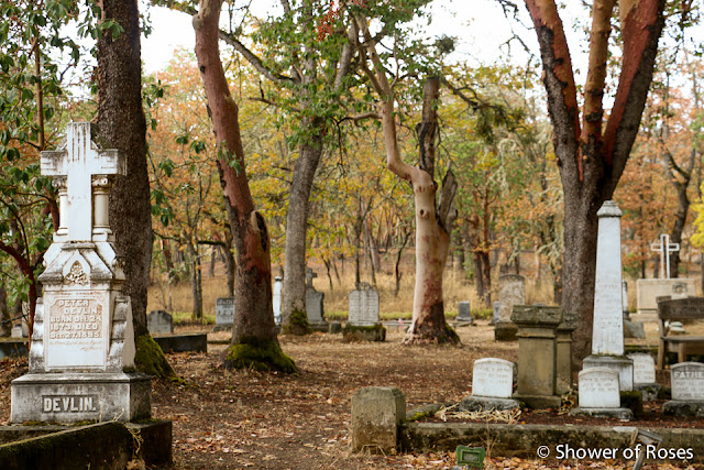 Our 10th Annual Mass at the Cemetery…