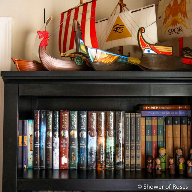 Books for Boys :: A Closer Look at the Bookshelf