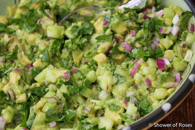 The Autoimmune Protocol :: Homemade Guacamole