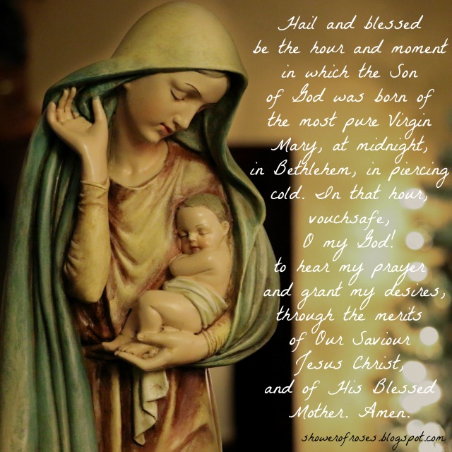 Saint Andrew Novena - Shower of Roses Blog