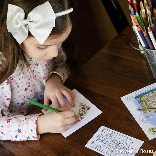 Our Lady of Lourdes Grotto Craft - Shower of Roses Blog