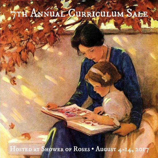 7th Annual Curriculum Sale Blog Hop