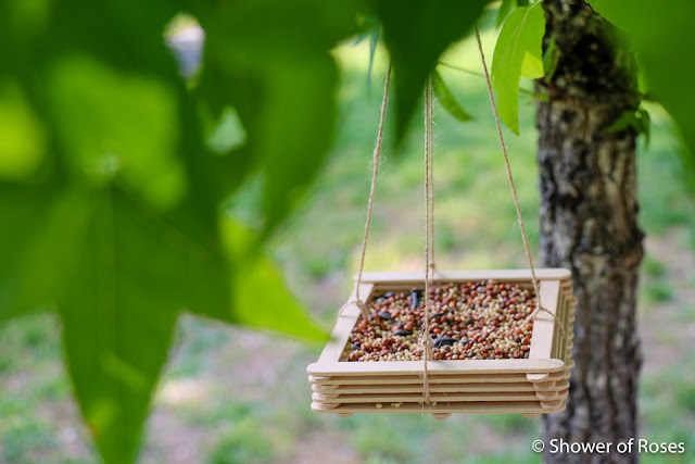 For the Birds :: Simple Popsicle Stick Bird Feeders
