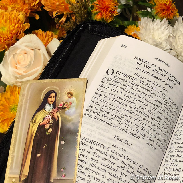 Novena to Saint Teresa of the Infant Jesus: First Day
