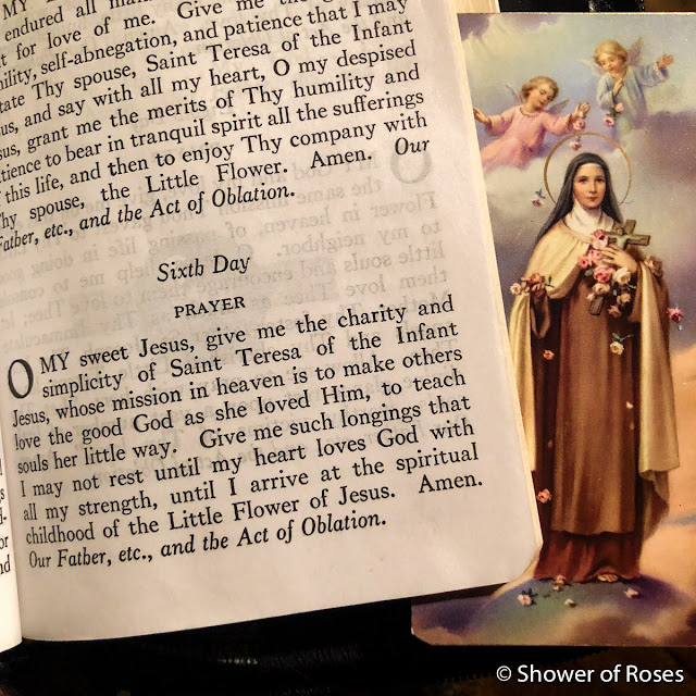 Novena to Saint Teresa of the Infant Jesus: Day 6