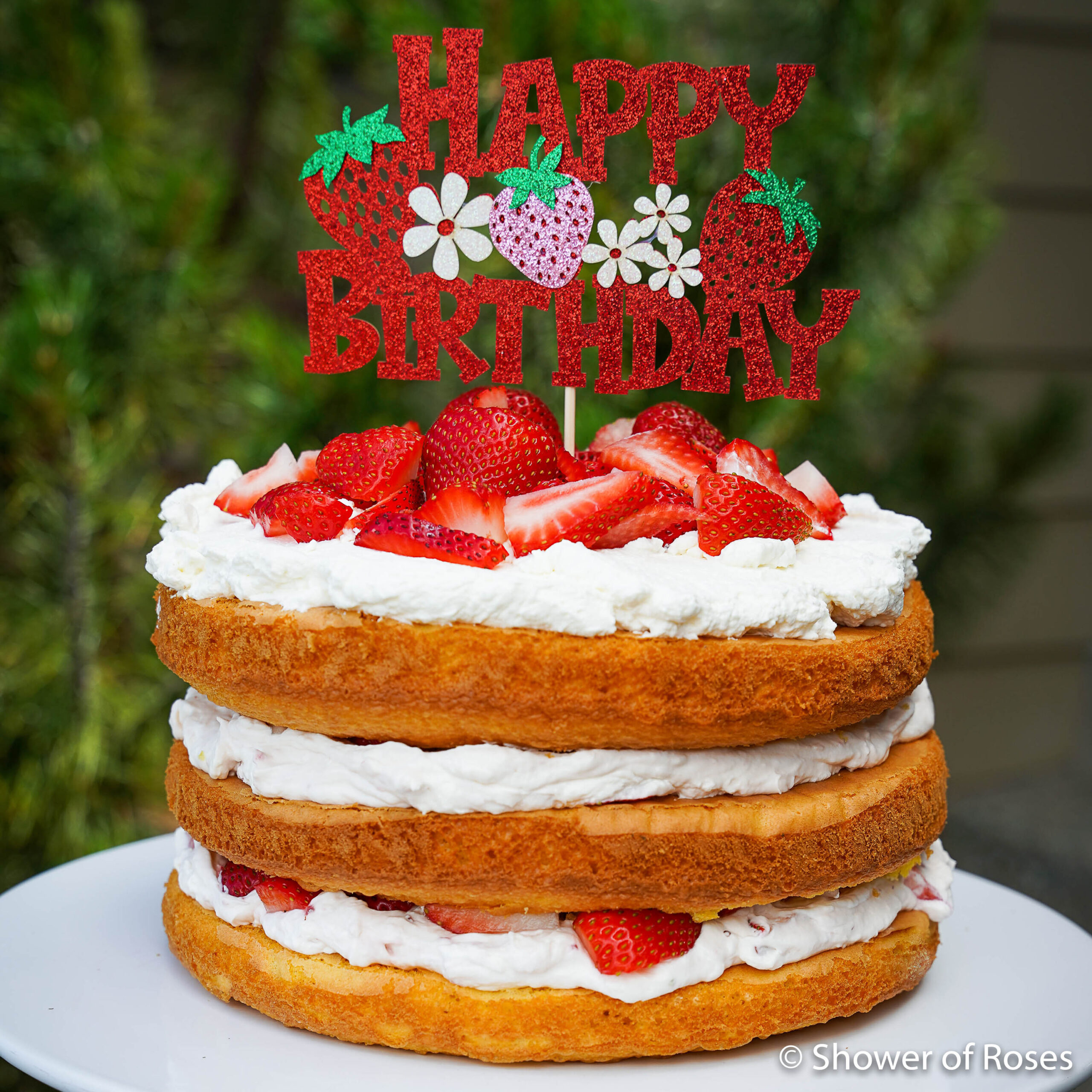 Strawberry Shortcake Birthday Cake - Shower of Roses Blog