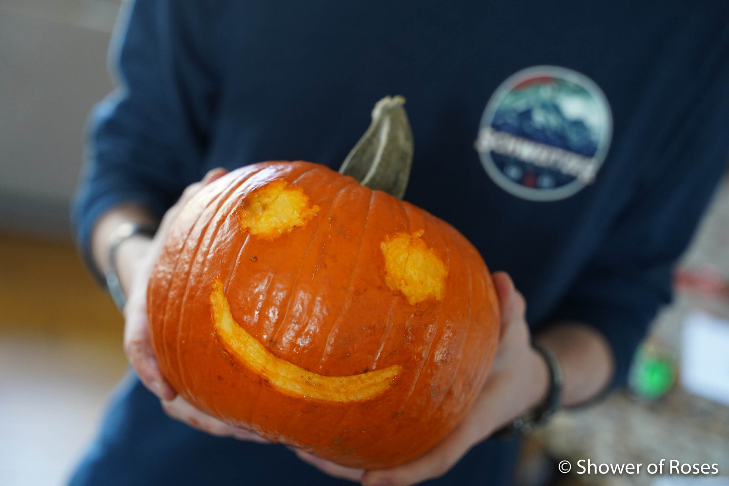 Chicken Pumpkin Carving Experiment