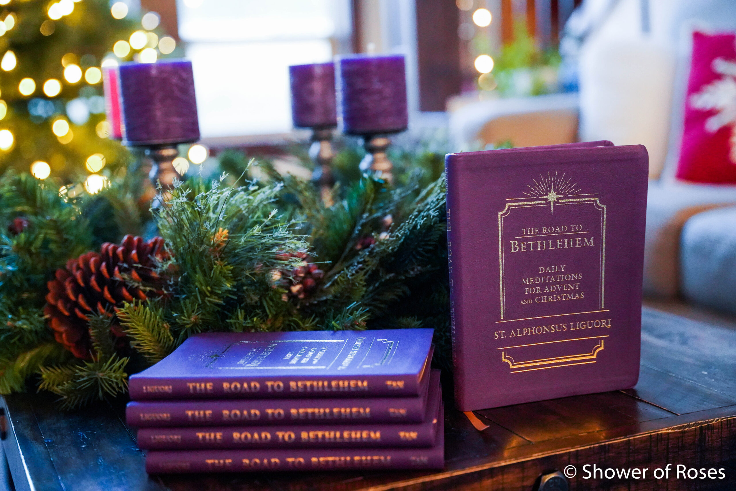 Advent Devotional: The Road to Bethlehem