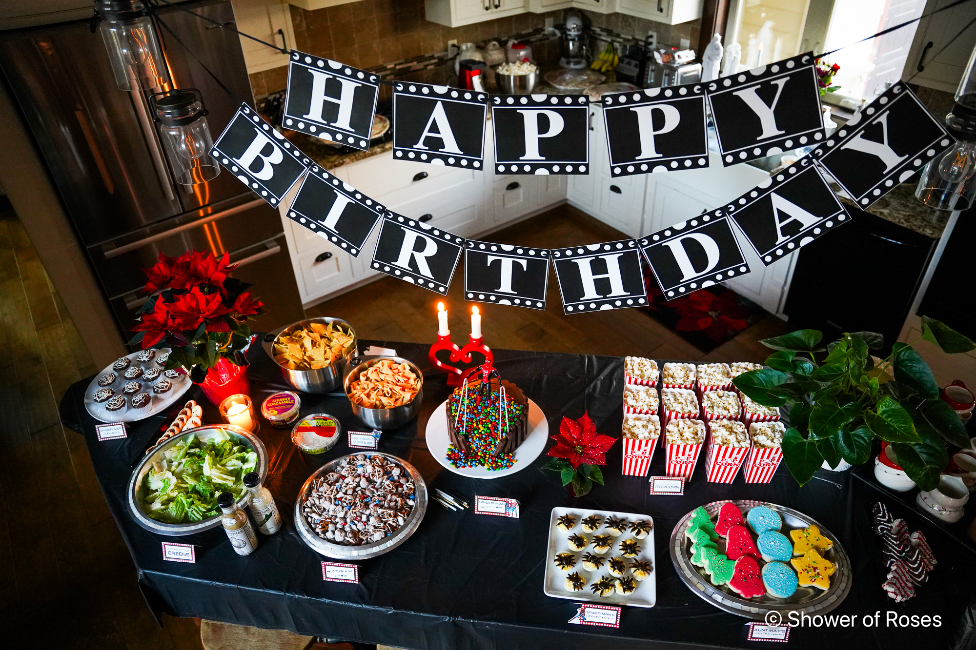 Spider-Man Birthday Party